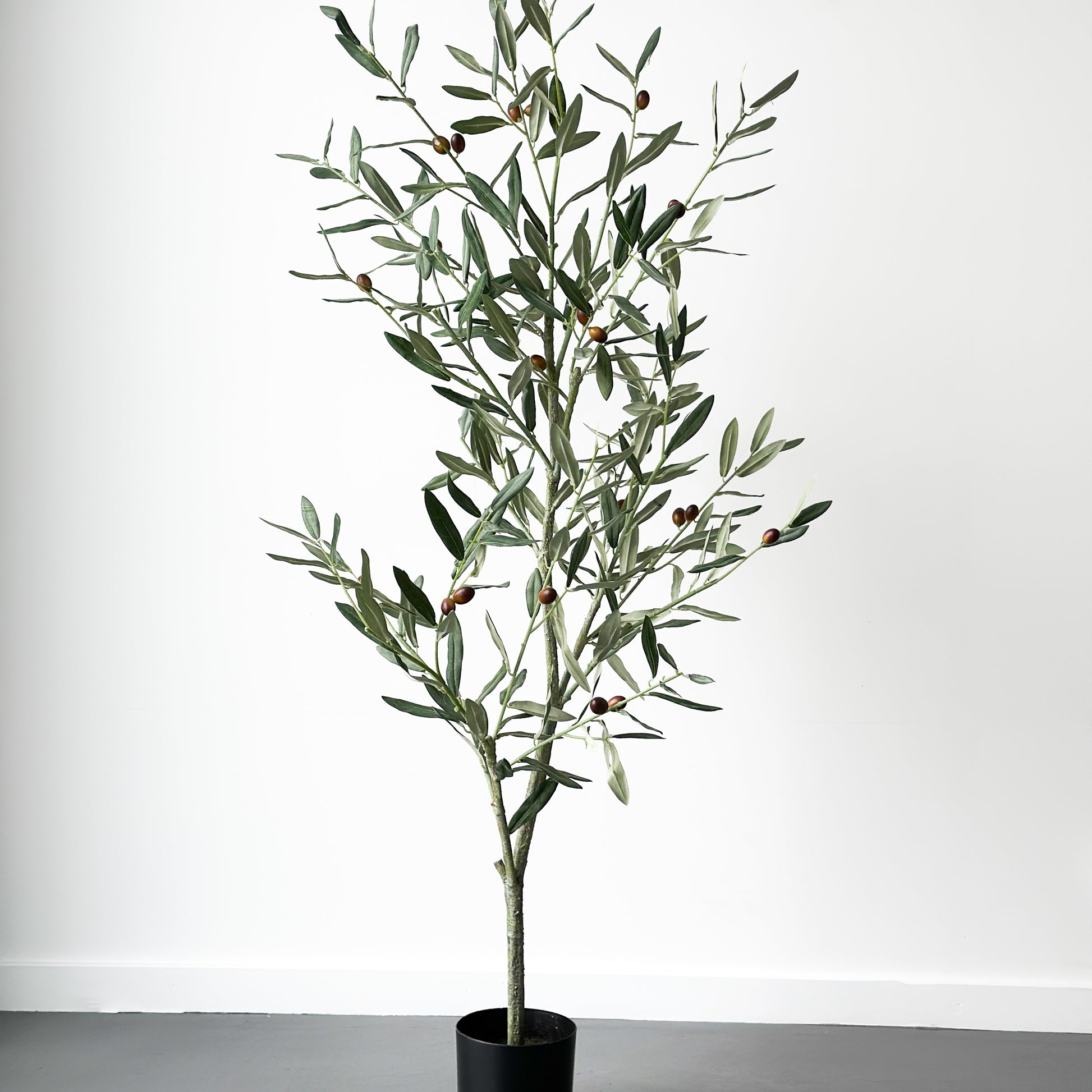 Mr. Plant oliventre 120 cm