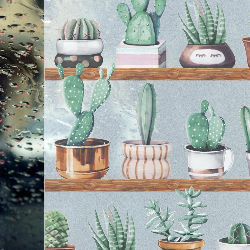 Static Kaktus vindusfolie