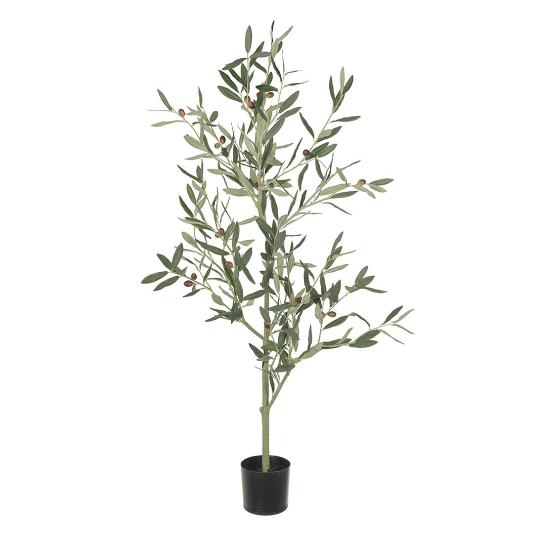 Mr. Plant oliventre 120 cm